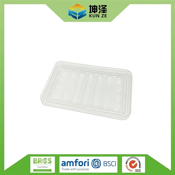 Clear PLA Plate
