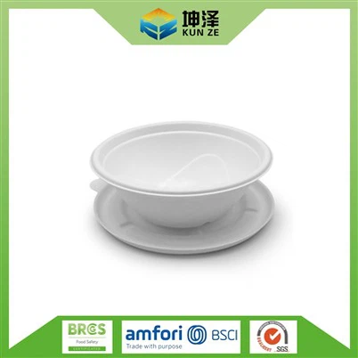 Bagasse-Take-Out-Behälter