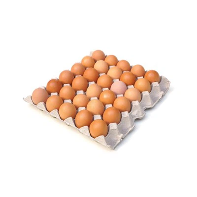 Eierplatten