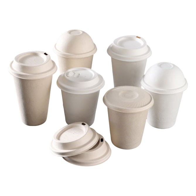 Zuckerrohr-Bagasse-Tasse