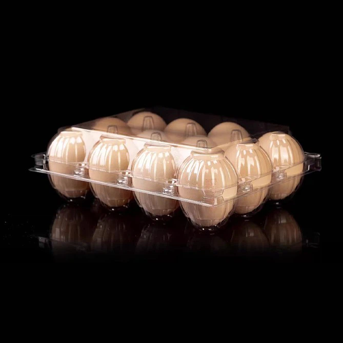 Plastic Egg Containers