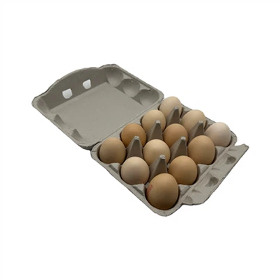 Eierschiffkasten
